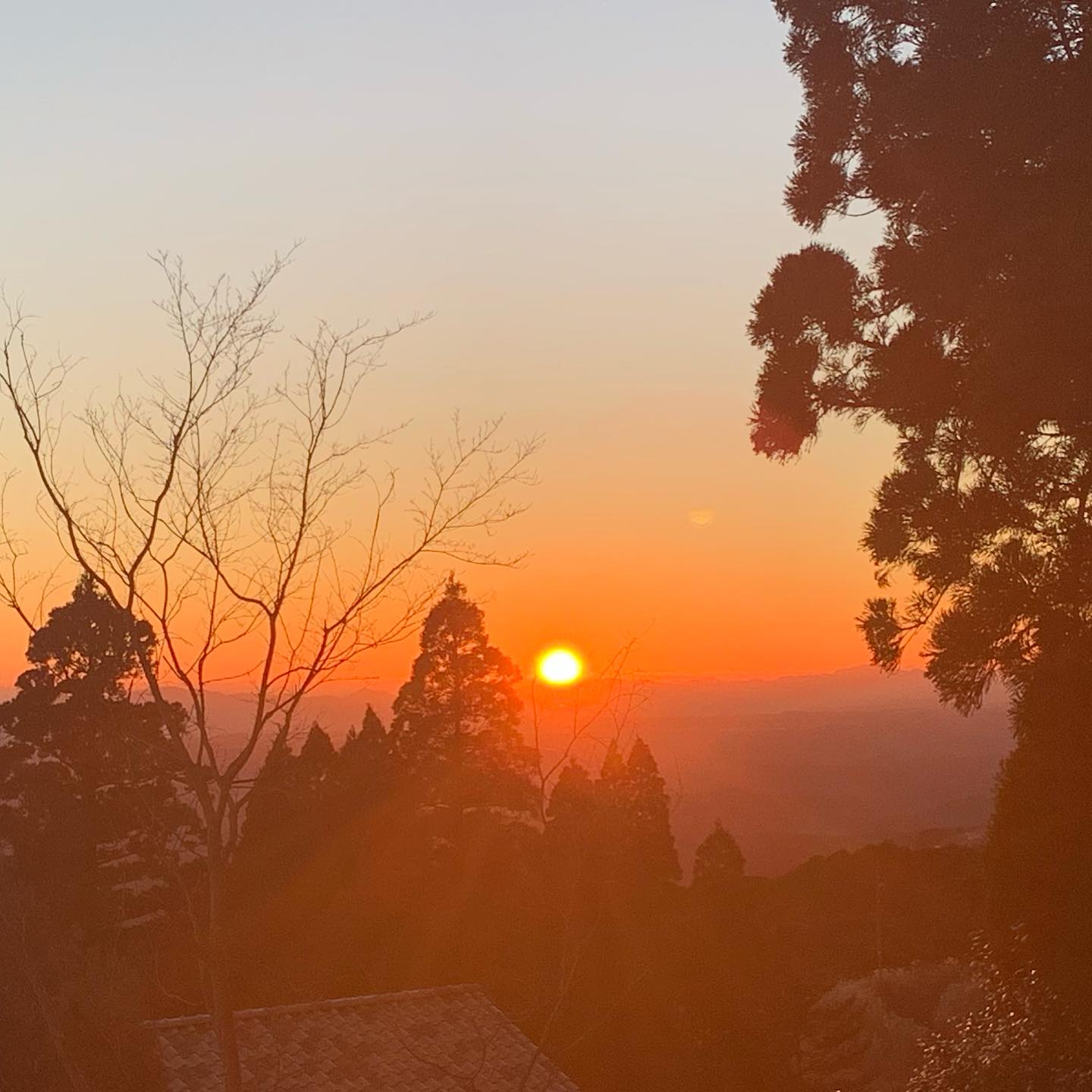 本年も誠にありがとうございました。

昨日30日にご予約をいただいていたクライアント様とのコンサルティングをもって、2025年の仕事納めとさせていただきました。

本年は個人コンサルティングだけでも、累計218名の方とご一緒させていただきました。

皆様の歩みの中で、少しでも支えとなることができていましたら幸いです。
心より感謝申し上げます。

来年2026年は丙午の年。
年の「火」のエネルギーを、クライアントの皆様への価値提供にしっかりと活かしてまいります。

2025年元旦の日の入りの写真とともに、本年のご挨拶とさせていただきます。

どうぞ、良いお年をお迎えくださいませ。

来年も何卒よろしくお願いいたします。